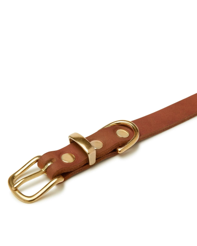 Butter Leather Dog Collar in Sahara Cognac
