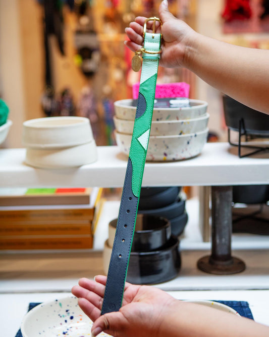 Brave Leather Dog Collar