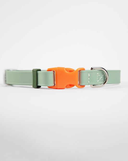 A Walk in the Park Dog Collar in Sage Green