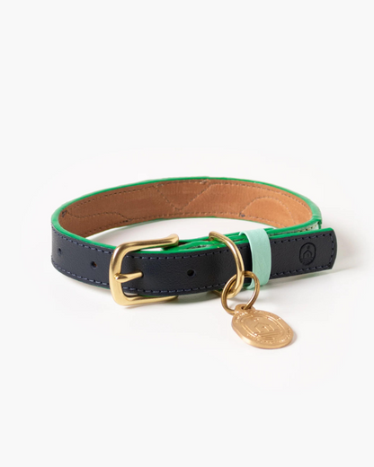 Brave Leather Dog Collar