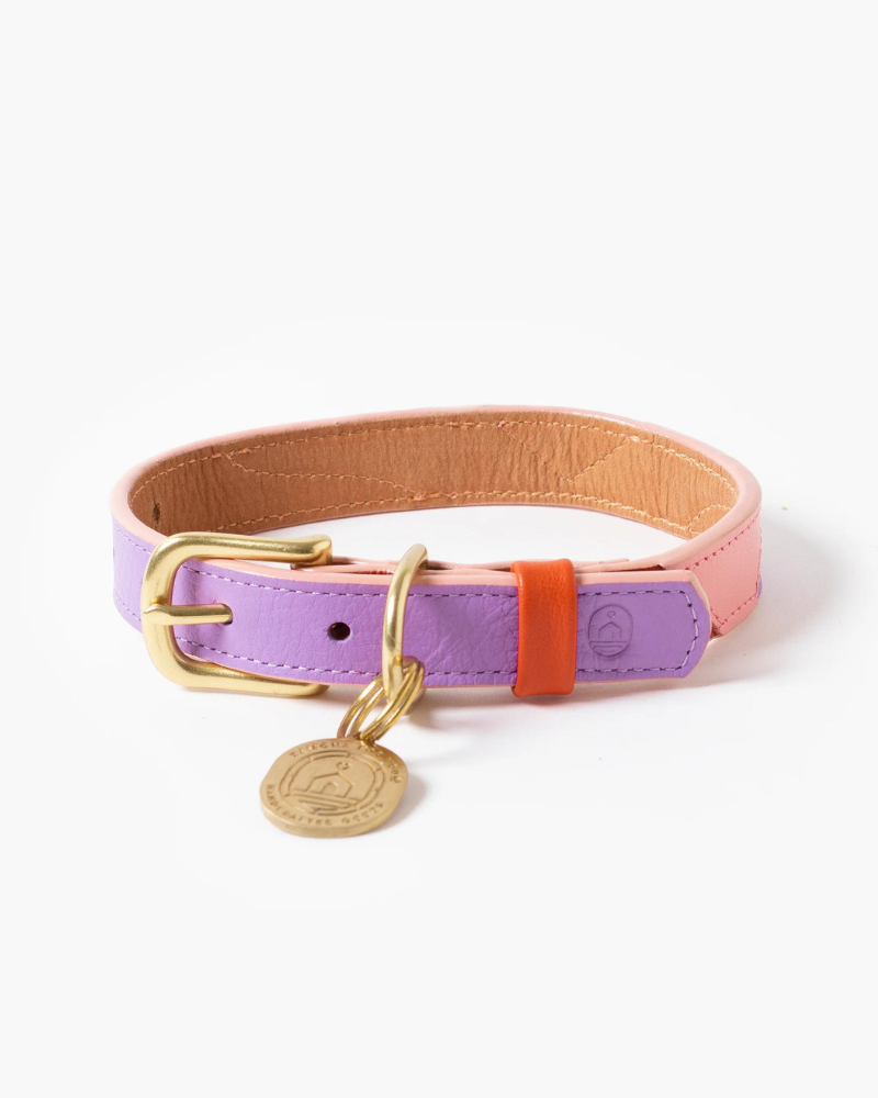 Sweet Leather Dog Collar