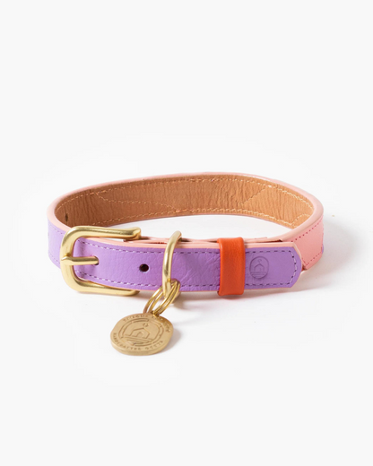 Sweet Leather Dog Collar