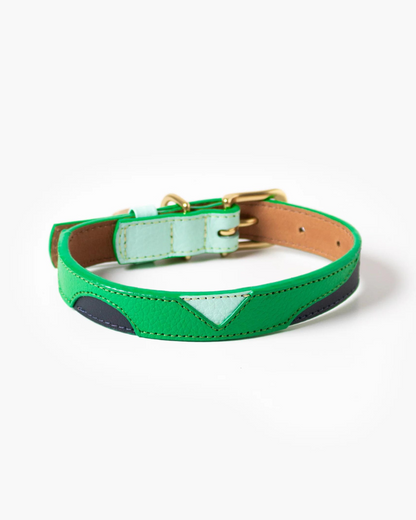 Brave Leather Dog Collar