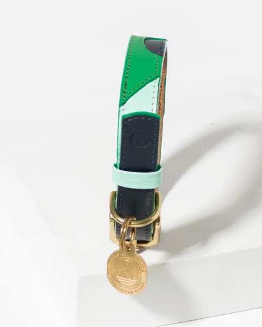 Brave Leather Dog Collar