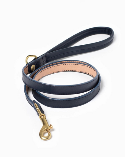 Brave Leather Dog Collar