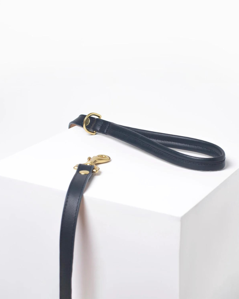 Brave Leather Dog Collar