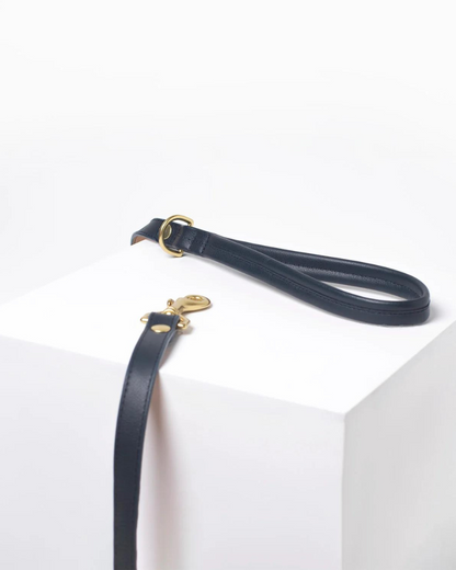 Brave Leather Dog Collar