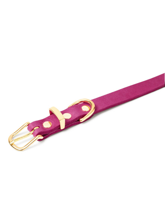 Butter Leather Dog Collar in Flamingo