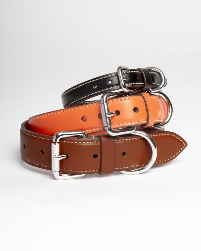 Leather Dog Collar in Orange