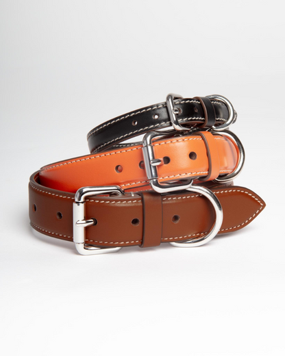 Leather Dog Collar in Orange
