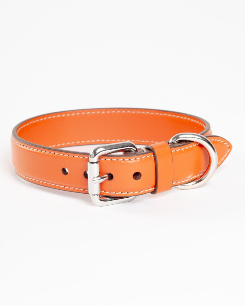 Leather Dog Collar in Orange