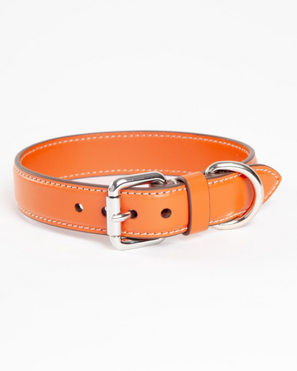 Leather Dog Collar in Orange