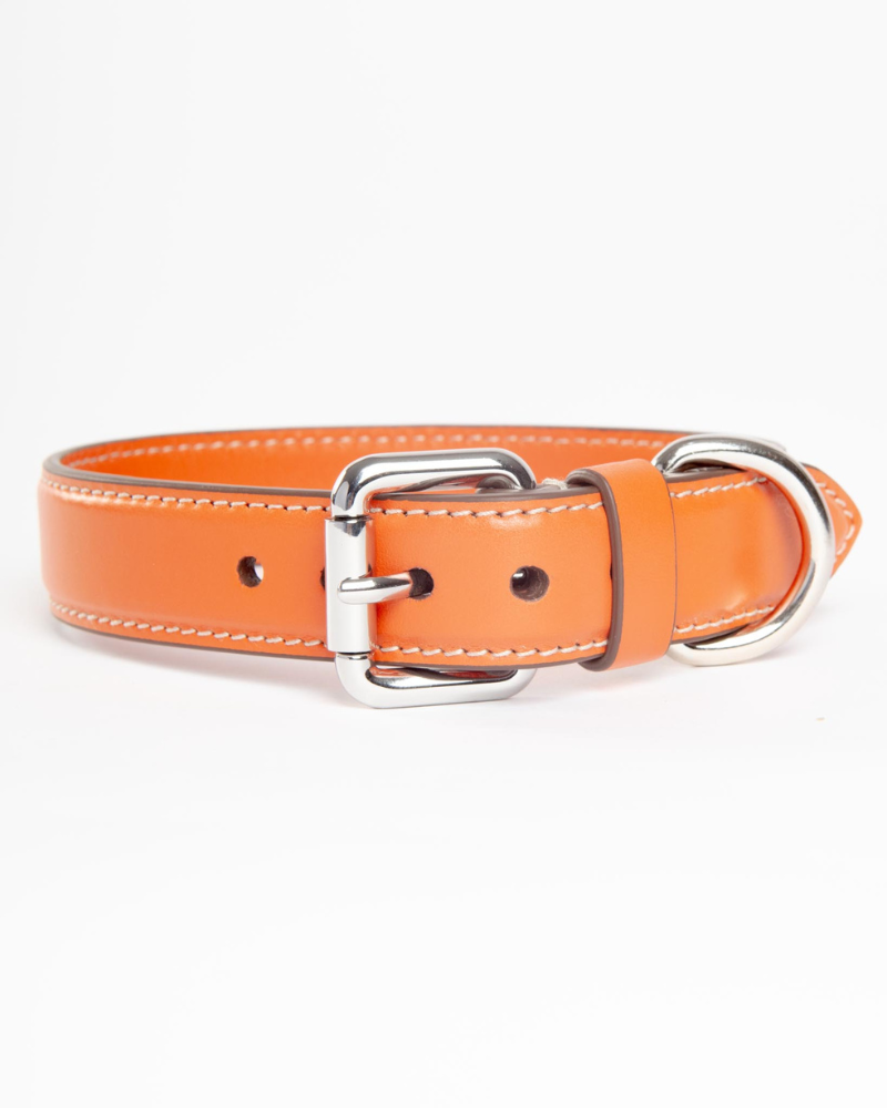 Leather Dog Collar in Orange