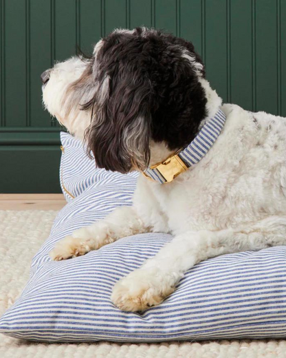 Lake Blue Stripe Dog Collar