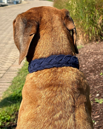 Seaside Cotton Woven Rope Dog Collar in Navy