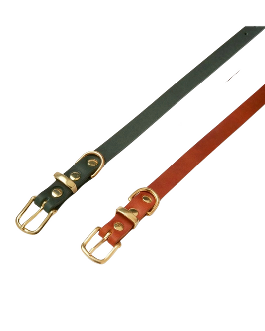 Butter Leather Dog Collar in Forest Green