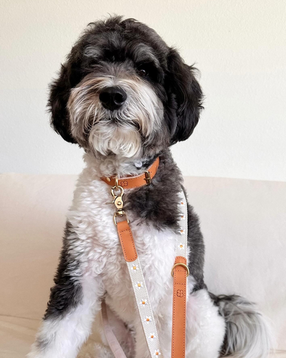 Cotton + Leather Daisy Dog Collar