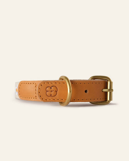 Cotton + Leather Daisy Dog Collar