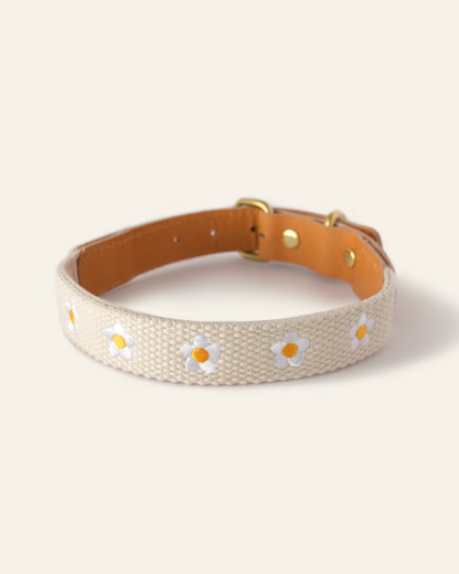 Cotton + Leather Daisy Dog Collar