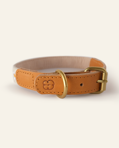 Cotton + Leather Daisy Dog Collar