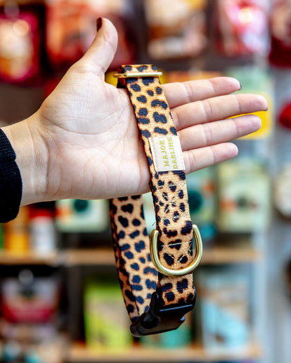 Side-Release Buckle Dog Collar in Leopard