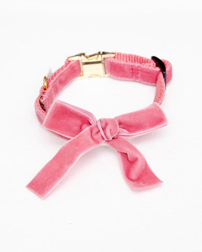 Velvet Dog Bow Collar Set in Primrose Pink