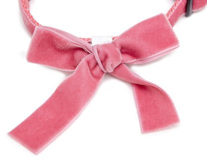Velvet Dog Bow Collar Set in Primrose Pink