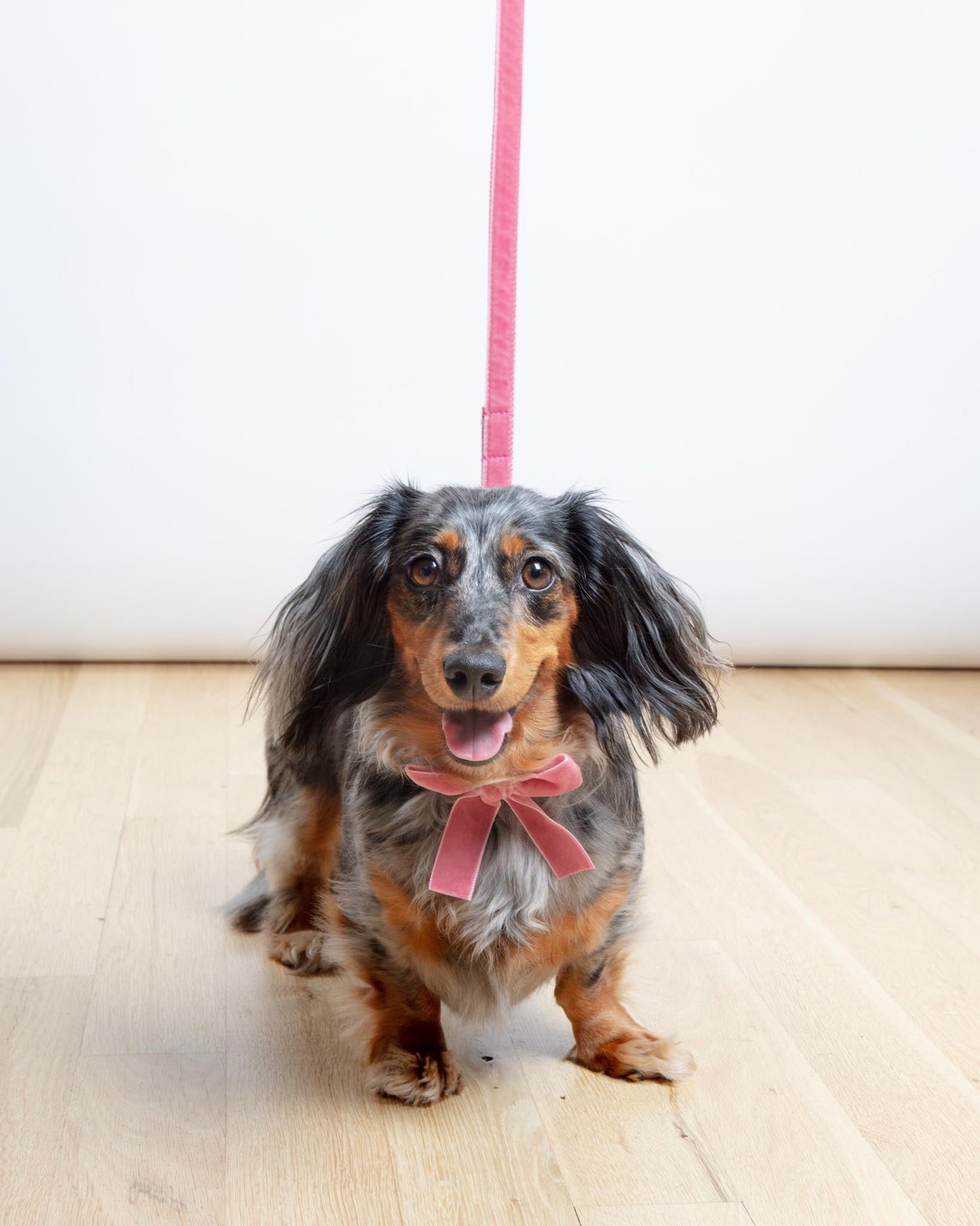 Velvet Dog Bow Collar Set in Primrose Pink