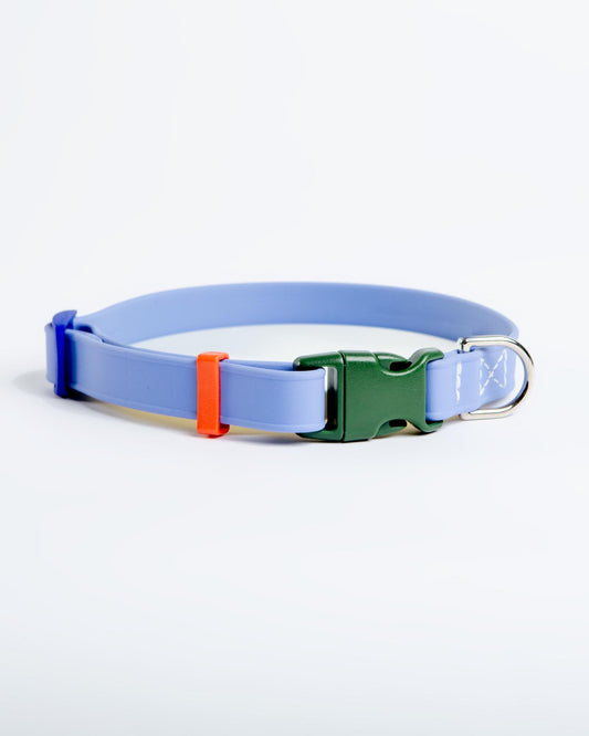 A Walk in the Park Dog Collar in Periwinkle Blue