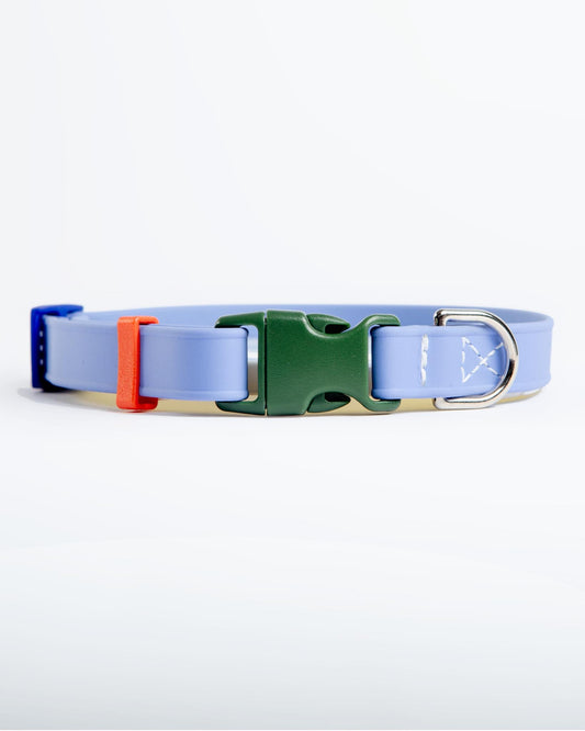 A Walk in the Park Dog Collar in Periwinkle Blue