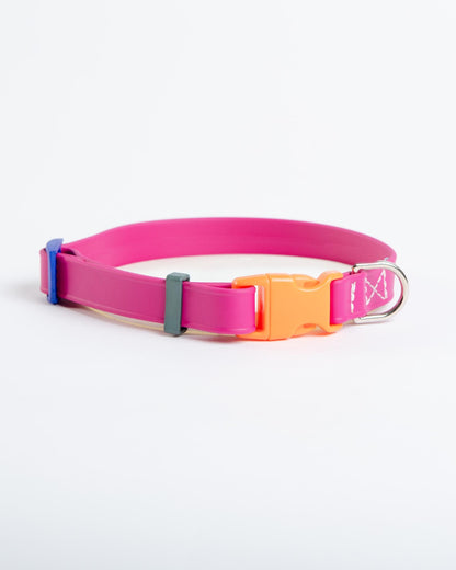 A Walk in the Park Dog Collar in Magenta Pink