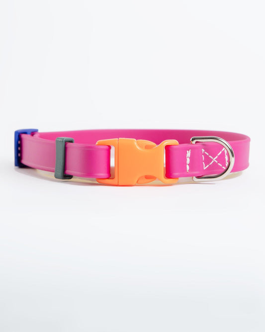A Walk in the Park Dog Collar in Magenta Pink