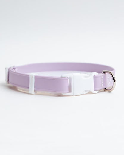 A Walk in the Park Dog Collar in Black