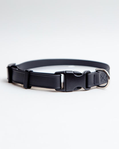 A Walk in the Park Dog Collar in Black