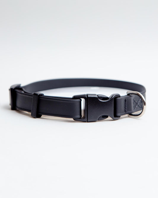 A Walk in the Park Dog Collar in Black