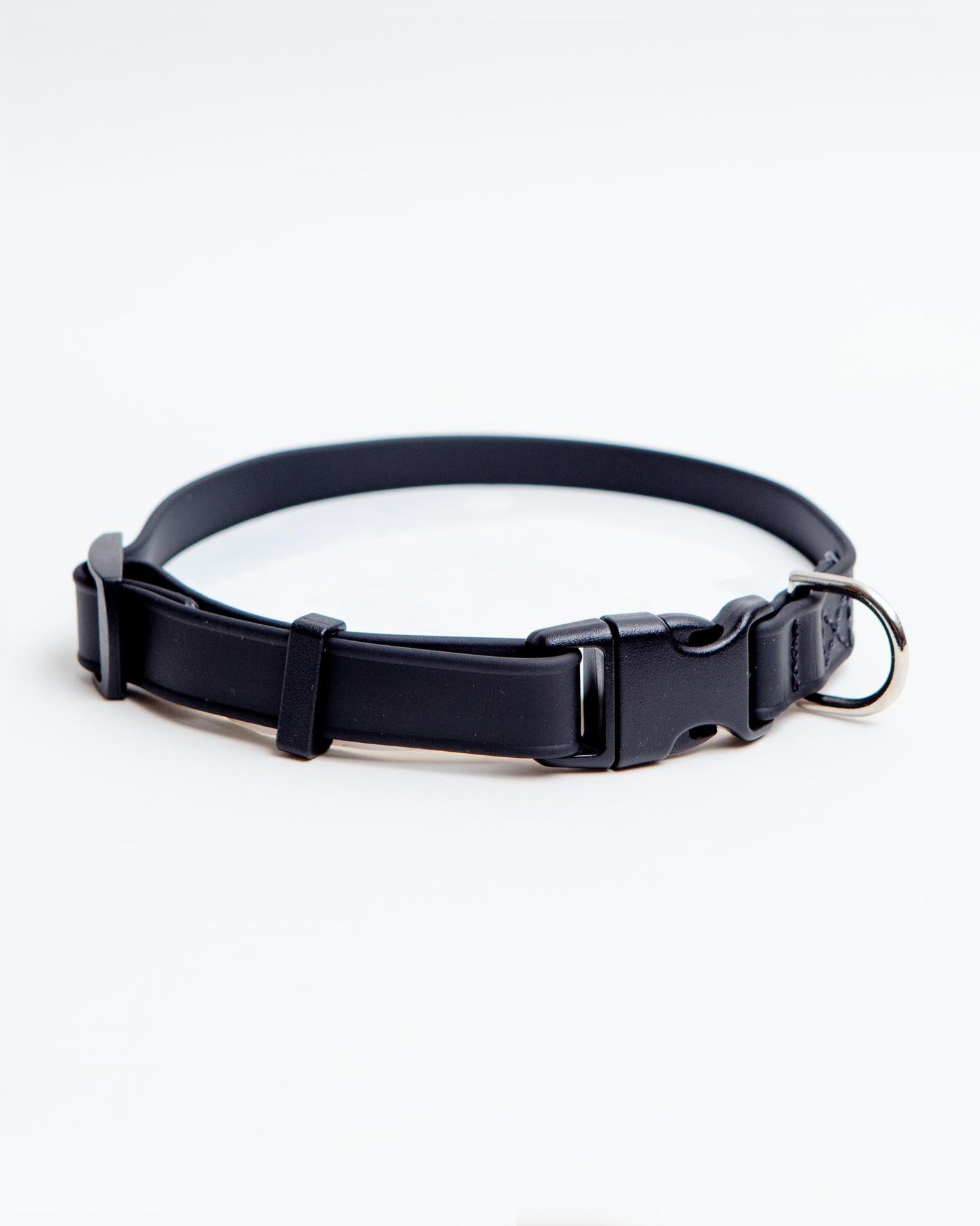 A Walk in the Park Dog Collar in Black