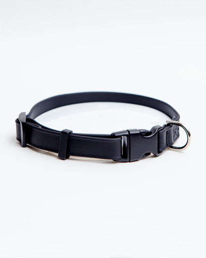 A Walk in the Park Dog Collar in Black