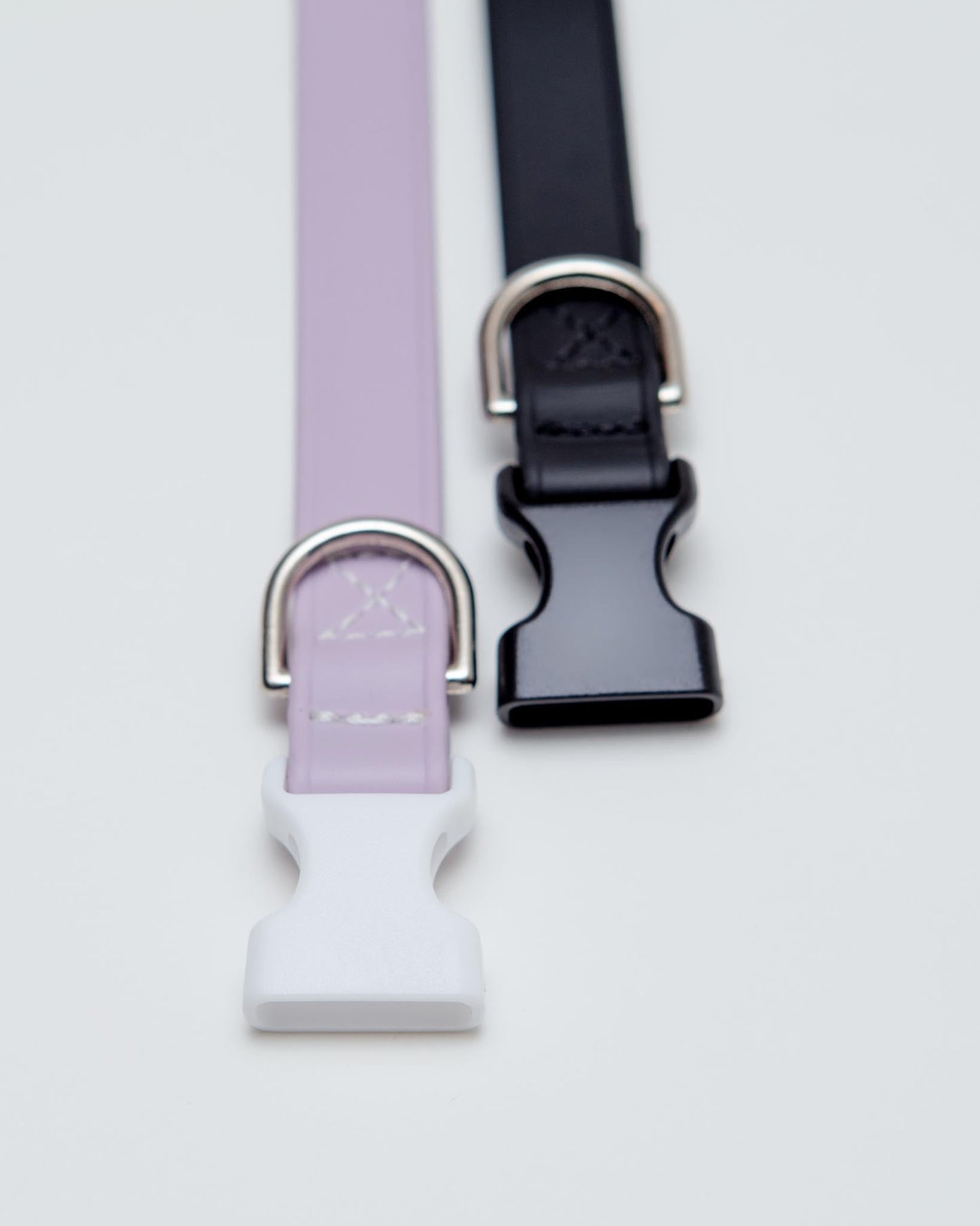 A Walk in the Park Dog Collar in Black