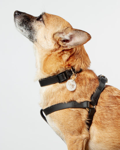 A Walk in the Park Dog Collar in Black
