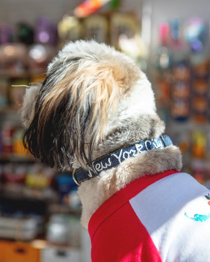 Hand Embroidered Dog Collar