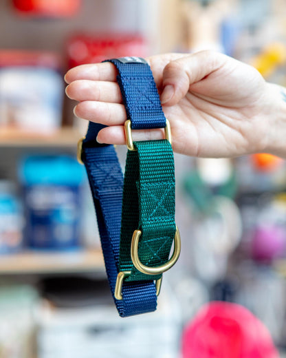 Martingale Dog Collar in Navy + Evergreen