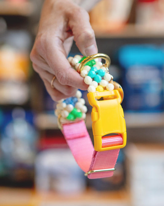 Broadway Beaded Dog Collar in Matinee