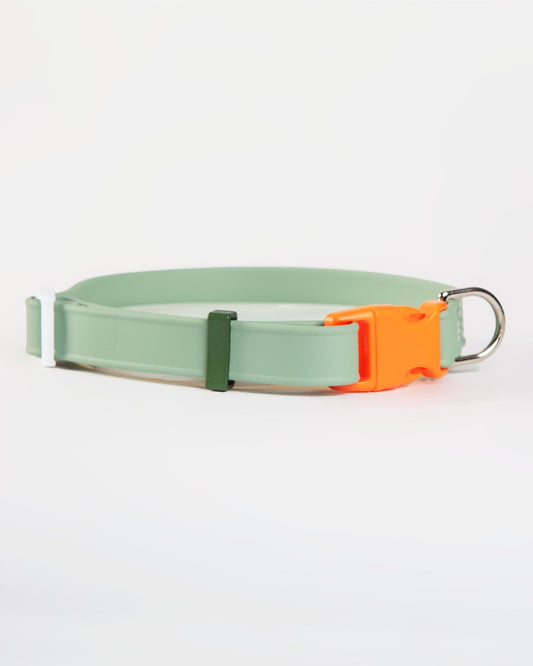 A Walk in the Park Dog Collar in Sage Green