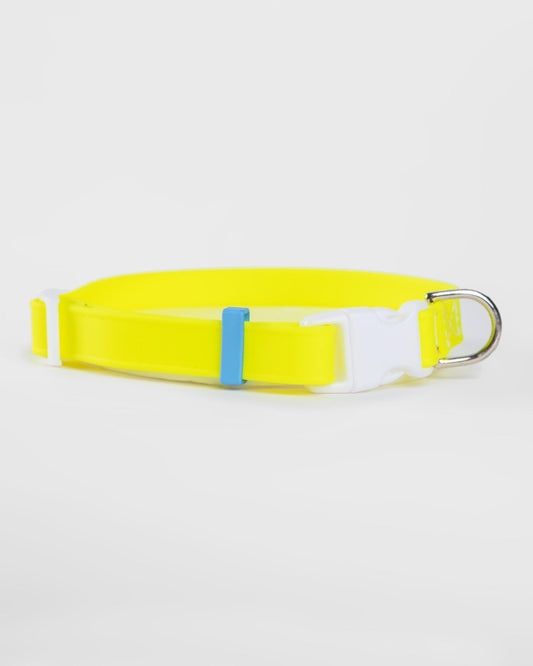 A Walk in the Park Dog Collar in Neon Yellow