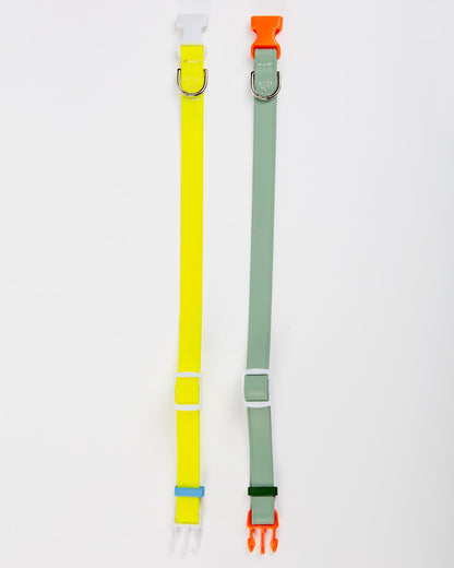 A Walk in the Park Dog Collar in Sage Green