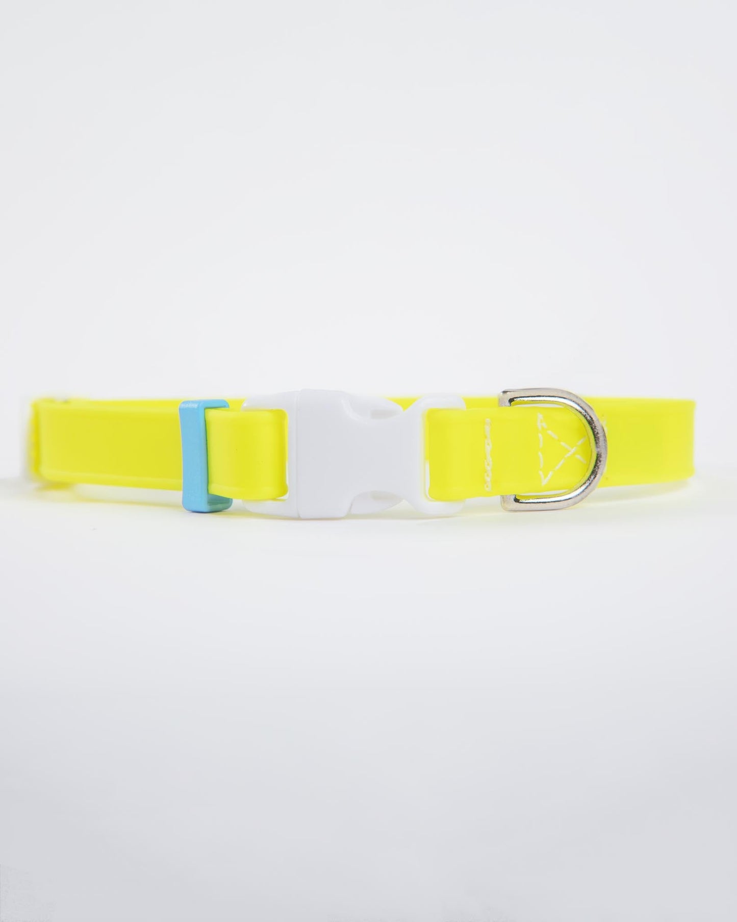 A Walk in the Park Dog Collar in Neon Yellow