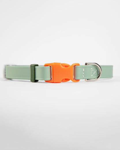 A Walk in the Park Dog Collar in Sage Green